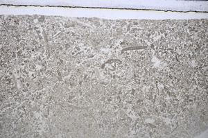 Plane Polarized, E48591