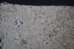 Cross Polarized, E48599