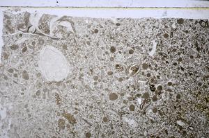 Plane Polarized, E48599