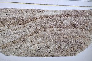 Plane Polarized, E48617