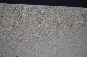 Cross Polarized, E48680