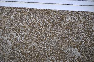 Plane Polarized, E48745