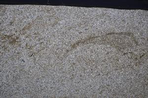 Cross Polarized, E48779