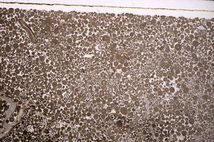 Plane Polarized, E48825