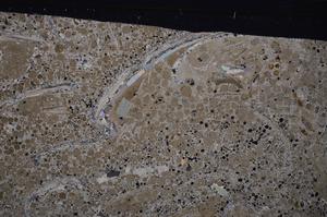 Cross Polarized, E48831