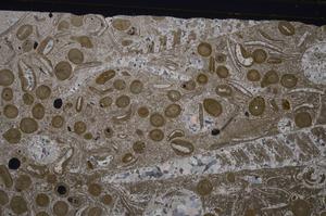 Cross Polarized, E48843