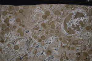 Cross Polarized, E48844