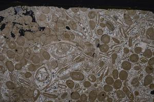 Cross Polarized, E48845