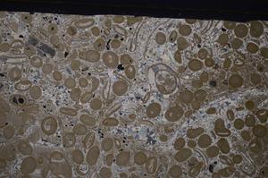 Cross Polarized, E48846