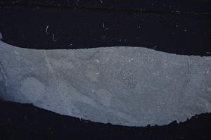 Cross Polarized, E48908