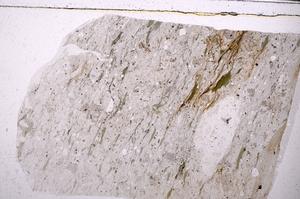 Plane Polarized, E48956