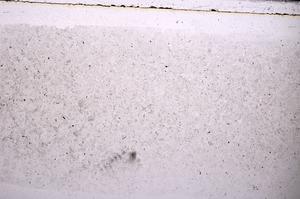 Plane Polarized, E49065