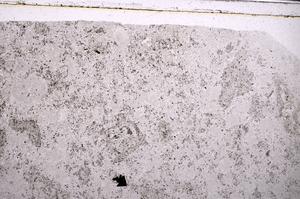 Plane Polarized, E49079