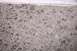 Plane Polarized, E49085
