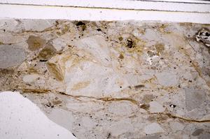 Plane Polarized, E49153