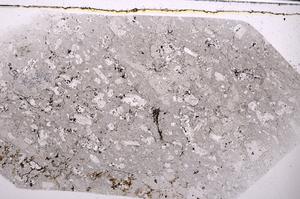 Plane Polarized, E49170