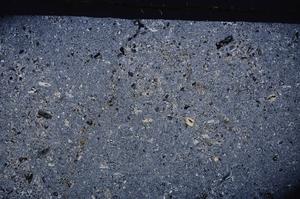 Cross Polarized, E49176