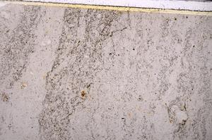 Plane Polarized, E49184