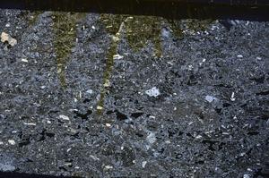 Cross Polarized, E49187