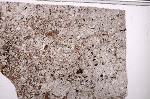 Plane Polarized, E49226