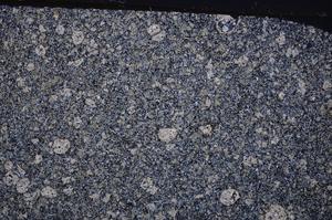 Cross Polarized, E49335