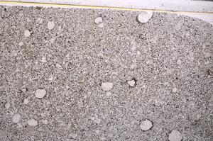 Plane Polarized, E49335