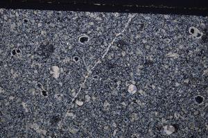 Cross Polarized, E49336