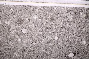 Plane Polarized, E49336