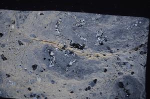 Cross Polarized, E49377