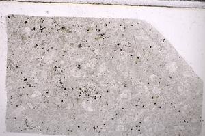 Plane Polarized, E49384