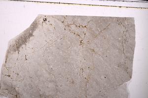 Plane Polarized, E49399