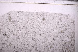 Plane Polarized, E49445