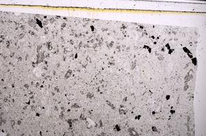 Plane Polarized, E49446