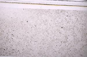 Plane Polarized, E49448