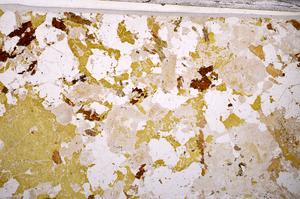 Plane Polarized, E49498/A