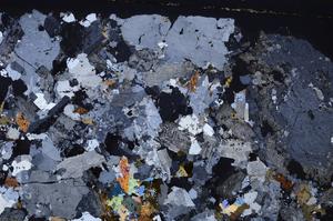 Cross Polarized, E49498/B