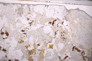 Plane Polarized, E49498/B