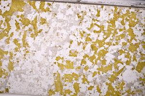 Plane Polarized, E49504/A