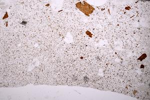 Plane Polarized, E49575/B