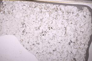 Plane Polarized, E49579/B