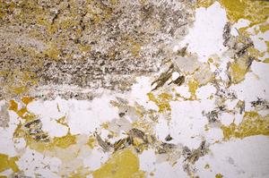 Plane Polarized, E49582/A