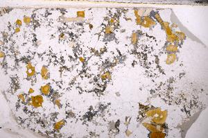 Plane Polarized, E49594/A