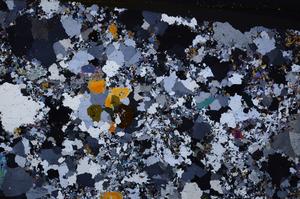 Cross Polarized, E49594/B