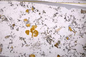 Plane Polarized, E49594/B