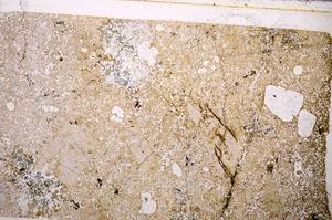 Plane Polarized, E49607/A