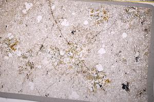 Plane Polarized, E49607/B