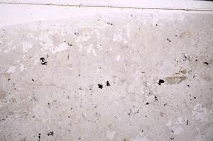 Plane Polarized, E49658