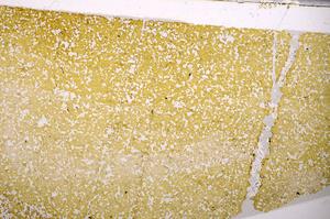 Plane Polarized, E49660/A