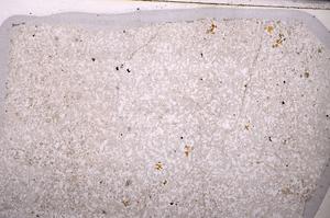 Plane Polarized, E49660/B