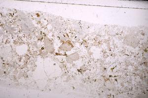 Plane Polarized, E49665